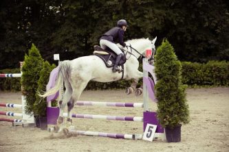show-jumping-594156_1920
