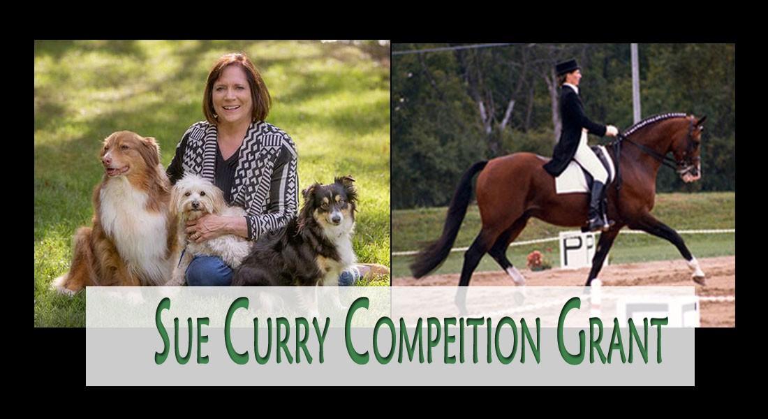 SueCurryCompeitionGrant SueCurryCompeitionGrant