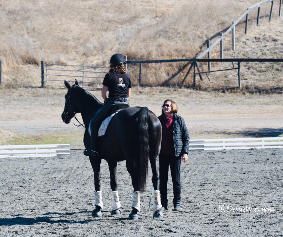 Sue Curry Coaching