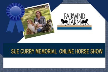 SueCurryMemorialBanner