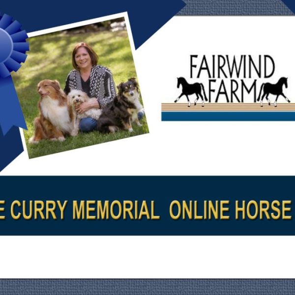 #9917 Sue Curry Memorial Online Horse Show September 7-9, 2024