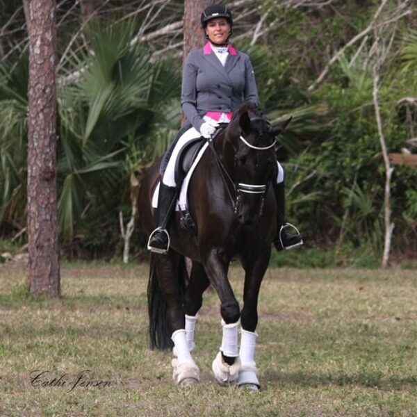 #16191 Francine Bell Memorial | Online Horse Show | August 1-17, 2026