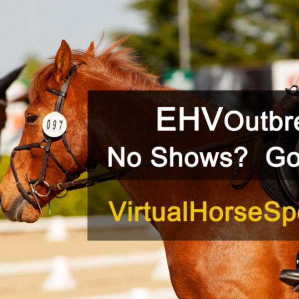 #15263 EHV Special Online Horse Show | January 10-12, 2026