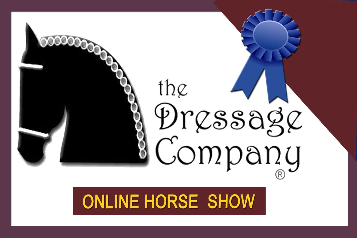 TheDressageCompanyBanner